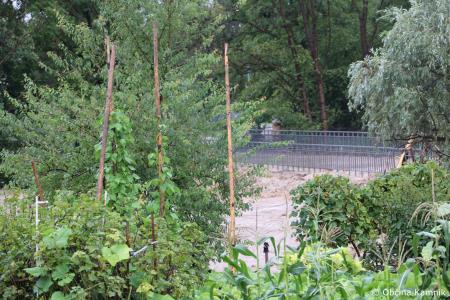 IZREDNA NOVICA SPLOŠNA NEVARNOST V OBČINI KAMNIK (2)